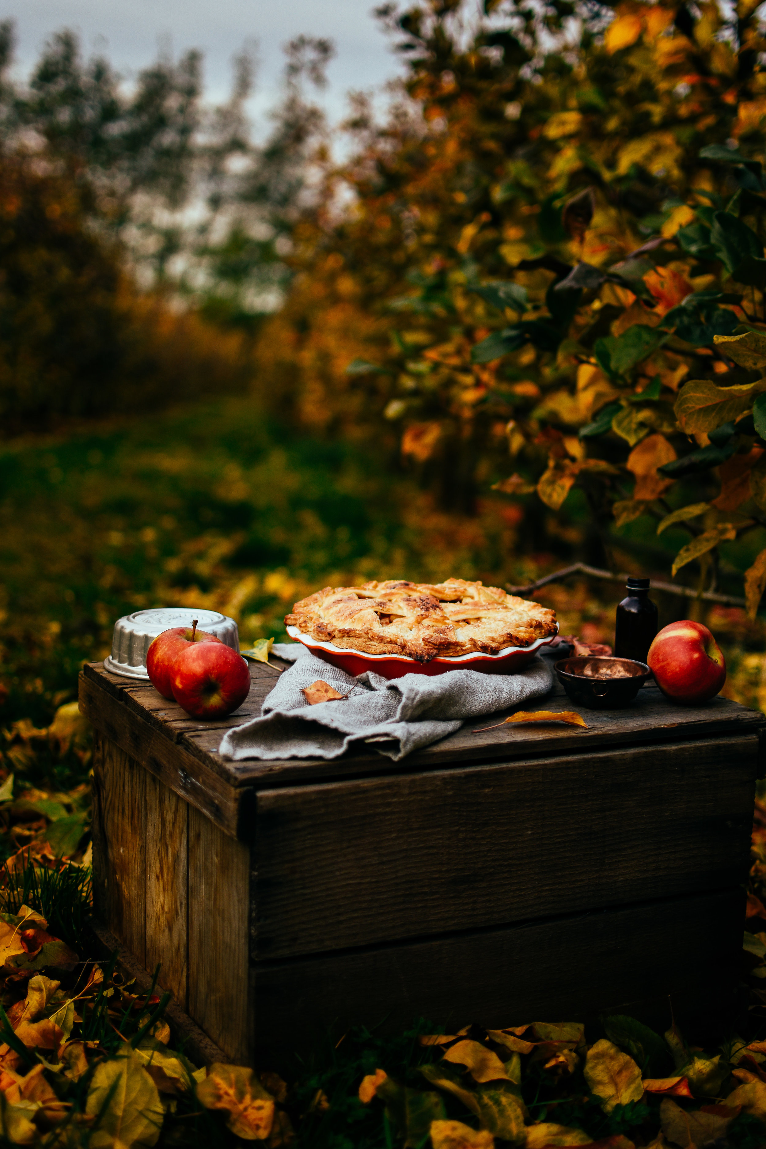 applegingerpie_thefarmersdaughter-37.jpg