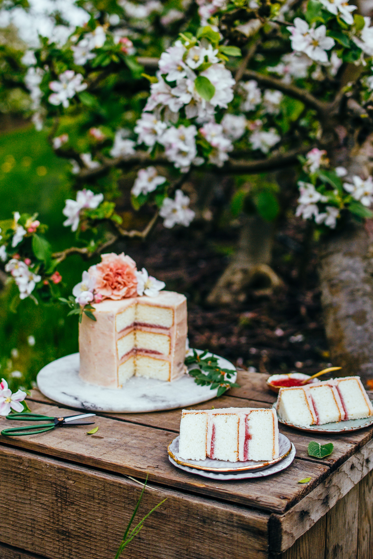 rhubarblayeredcake-1-4.jpg