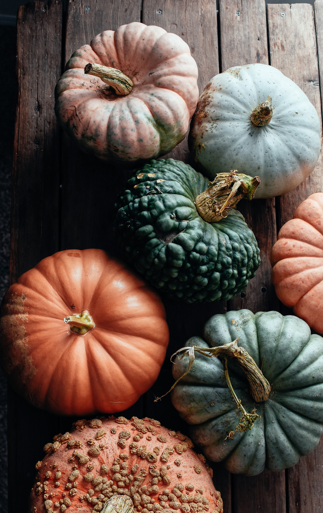 pumpkinpuree_thefarmersdaughter-13.jpg