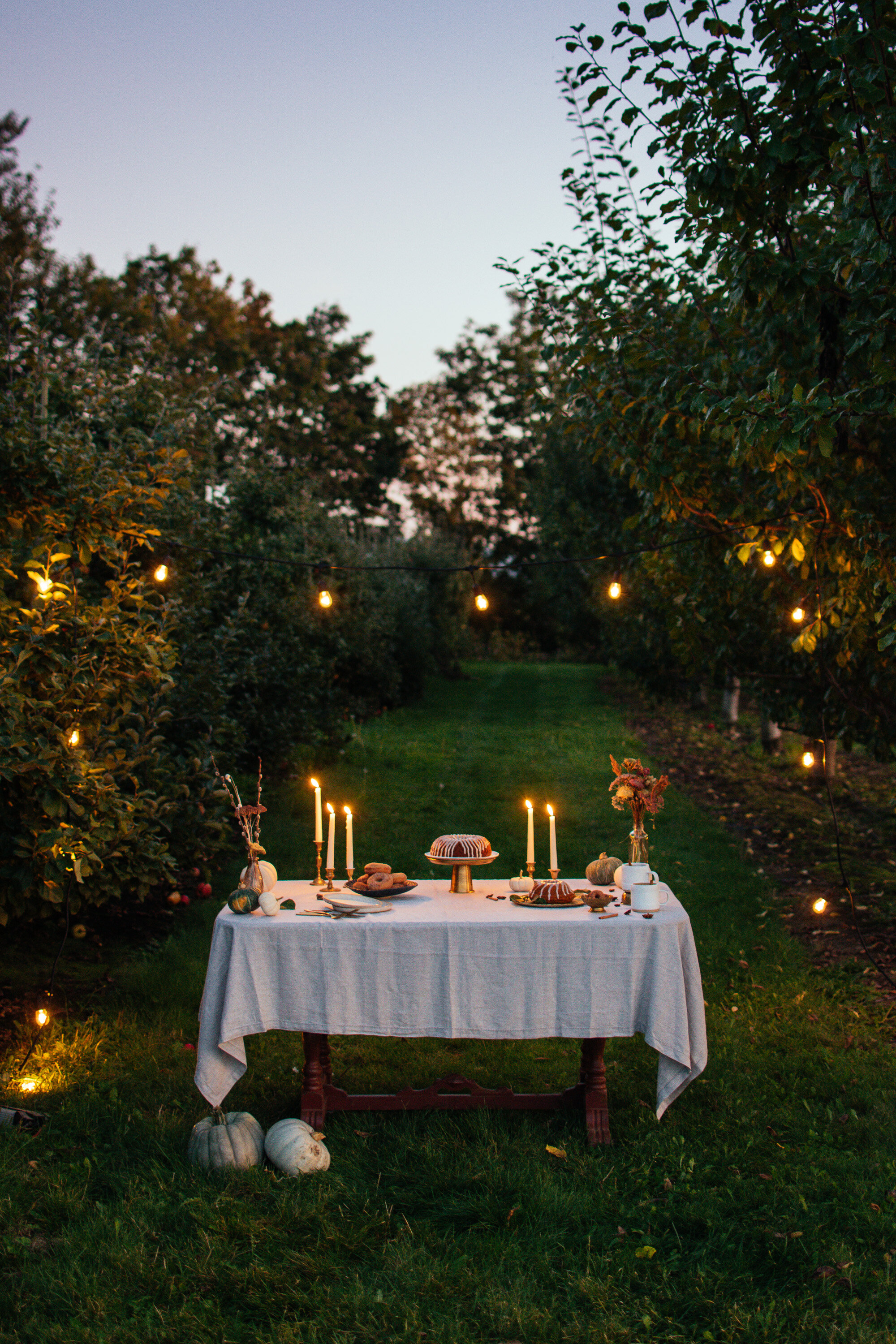 eikam_thefarmersdaugher_orchardshoot2019-54.jpg