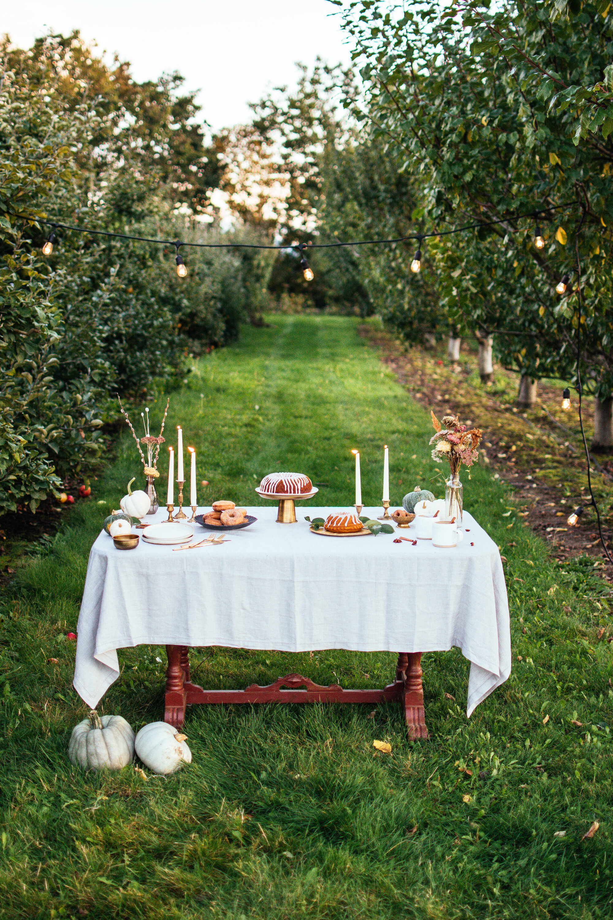 eikam_thefarmersdaugher_orchardshoot2019-11.jpg
