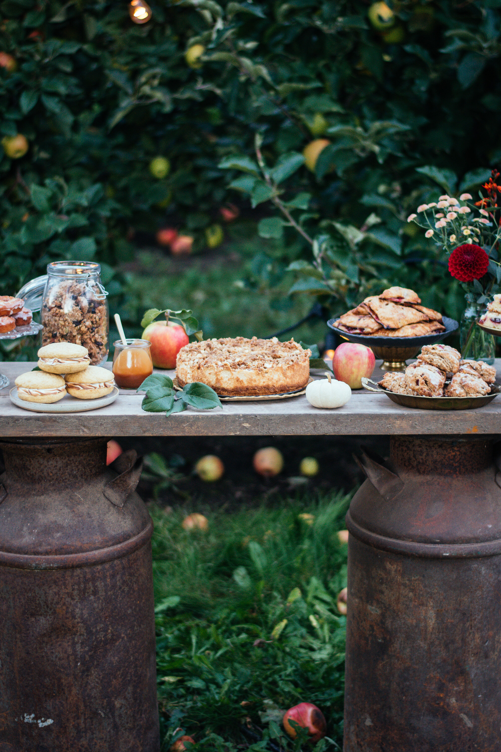 the-farmers-daughter-bakes-orchard-shoot-cookbook-2.jpg