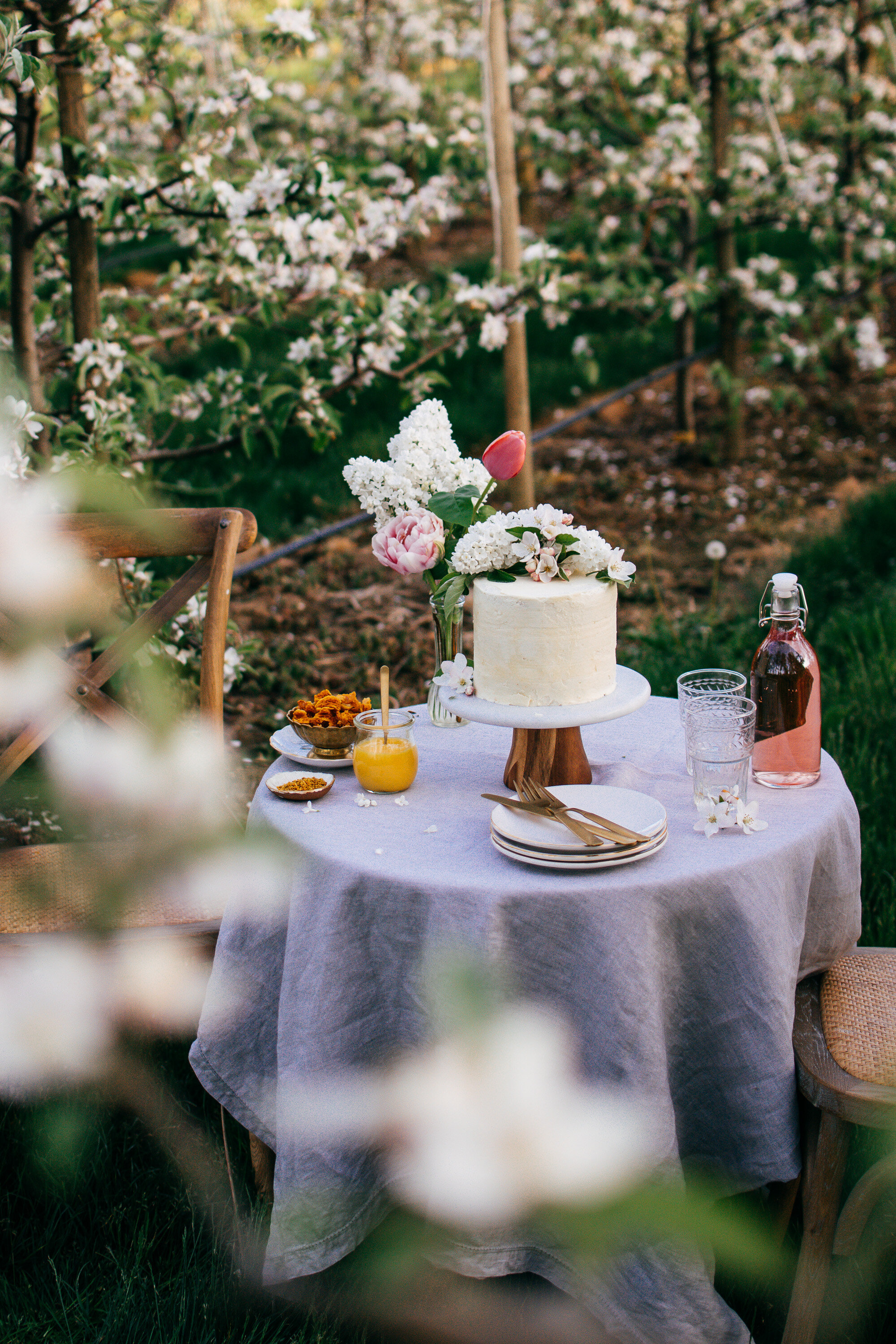 orange-blossom-cake-orchard-shoot-the-farmers-daughter-2.jpg