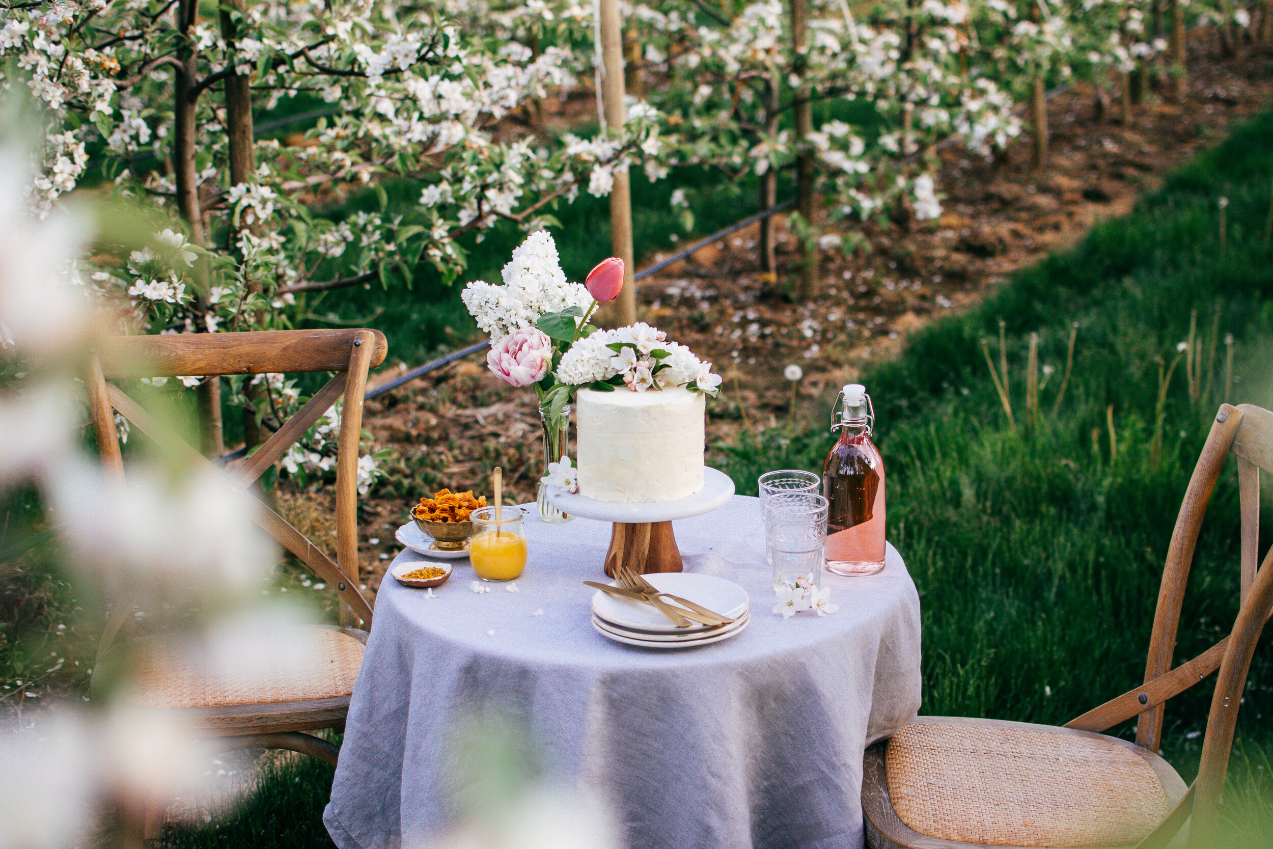 orange-blossom-cake-orchard-shoot-the-farmers-daughter-3.jpg