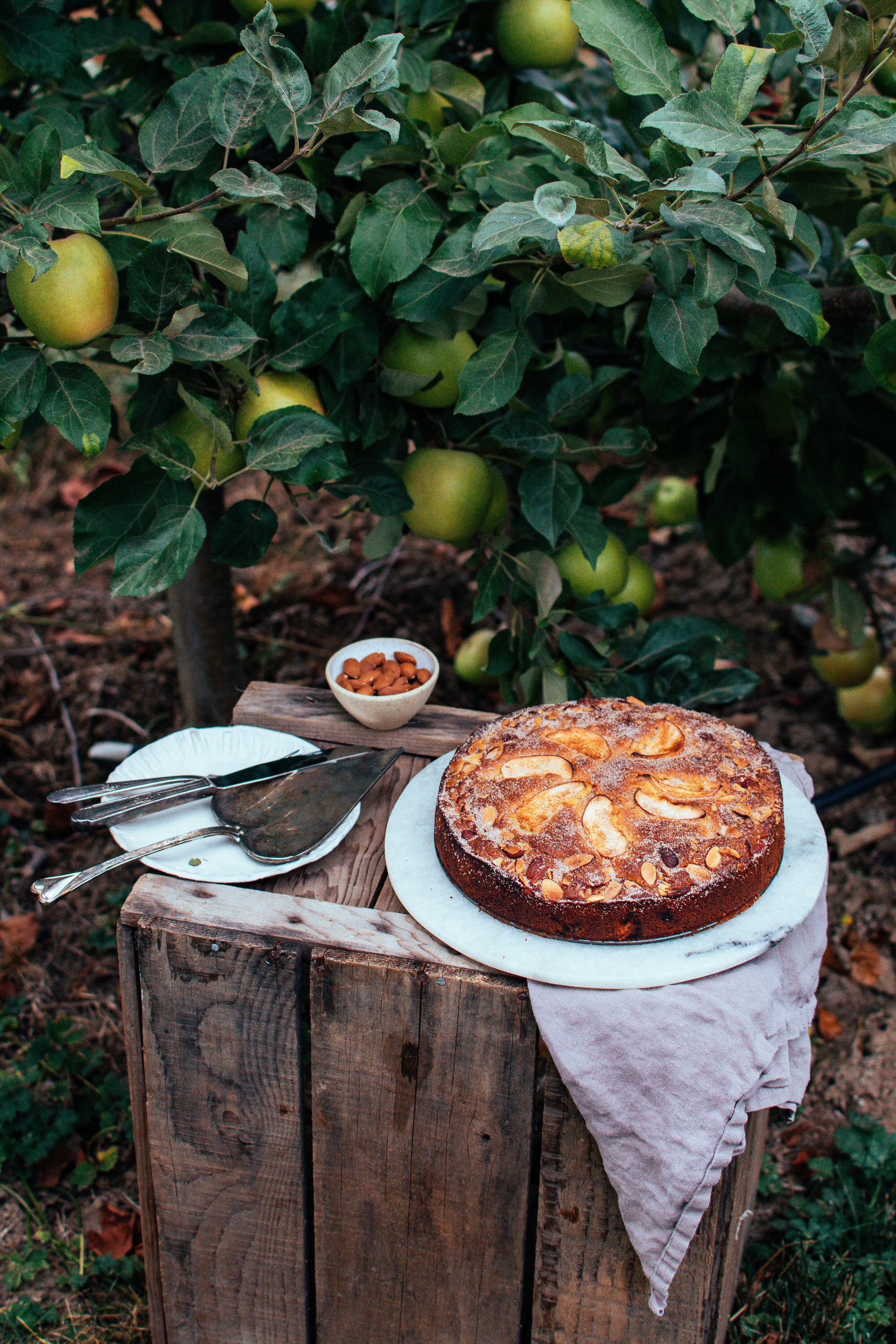apple-almond-cake-the-farmers-daughter-blog-2021-9.jpg