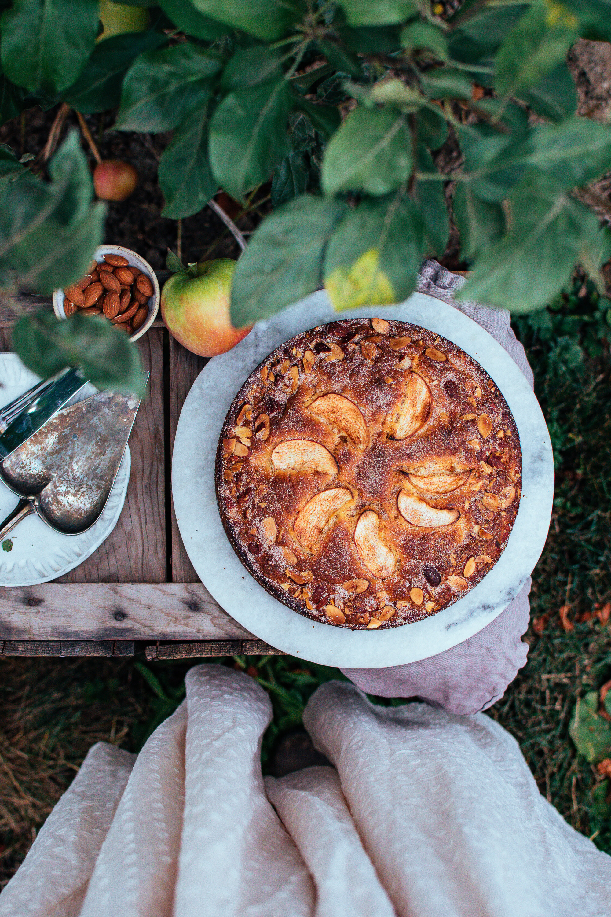 apple-almond-cake-the-farmers-daughter-blog-2021-22.jpg