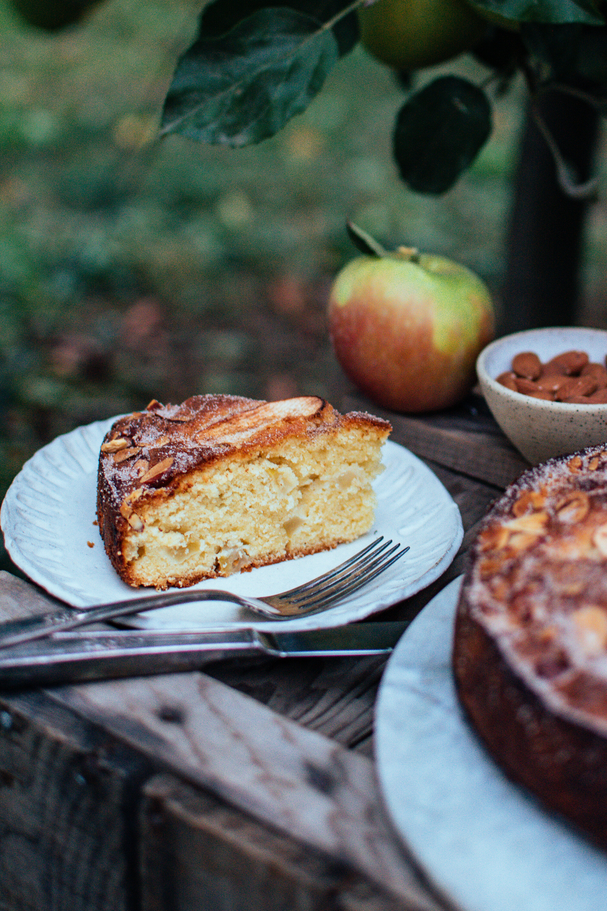 apple-almond-cake-the-farmers-daughter-blog-2021-69.jpg