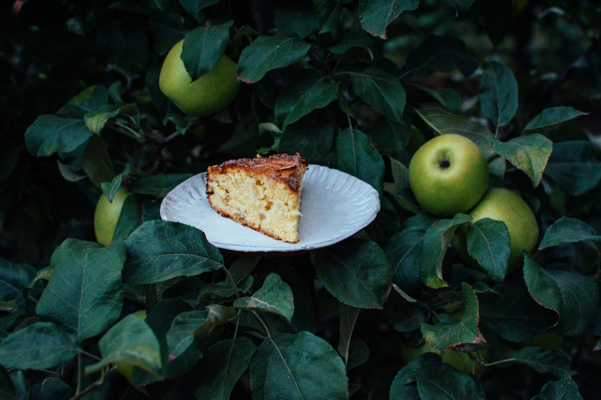 apple-almond-cake-the-farmers-daughter-blog-2021-81.jpg