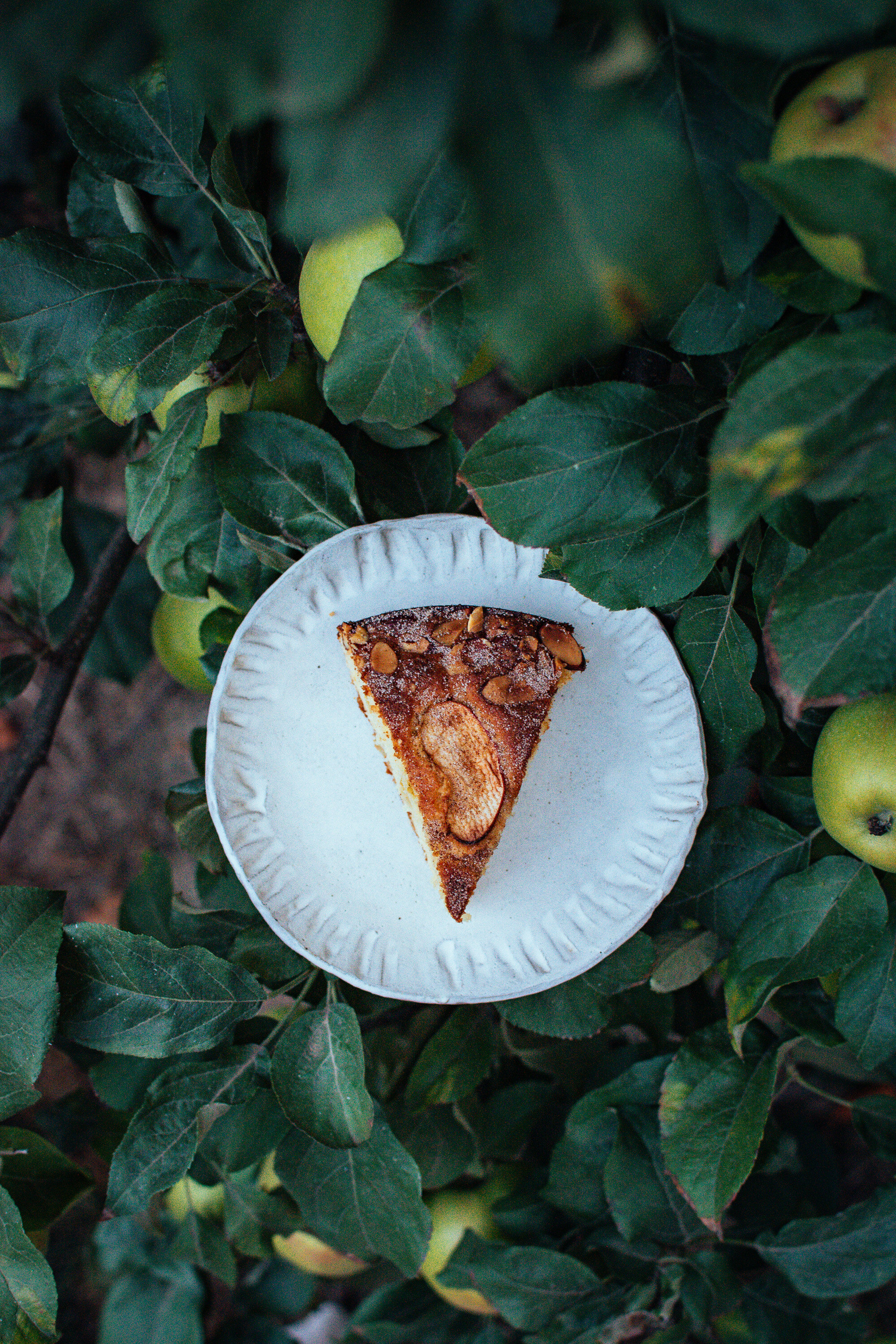 apple-almond-cake-the-farmers-daughter-blog-2021-83.jpg