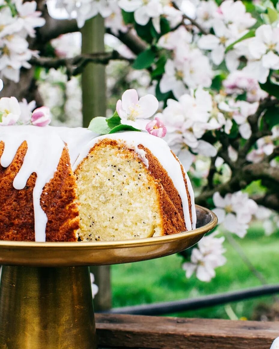 A lemon poppyseed bundt cake would be perfect for the weekend 🌸✨️ 
Our blossoms have finally started opening in the apple orchard...and i plan to shoot something fun there!
Lemon cake recipe is linked in my profile 🍋
#lemonpoppyseed #lemoncake