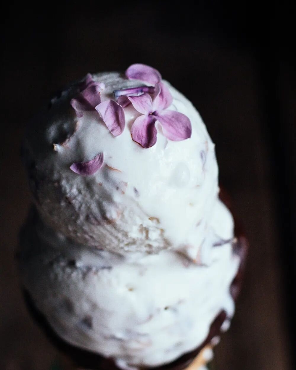 In full icecream wave during this May heatwave we're experiencing 🥵😬 This lilac ice cream would hit the spot perfectly 🍦
The recipe for both no churn &amp; machine ice cream are linked in my profile! 💜 
#edibleflowers #lilacs #floralbaking